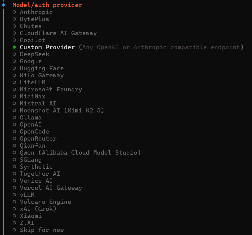 选择 Custom Provider 自定义供应商
