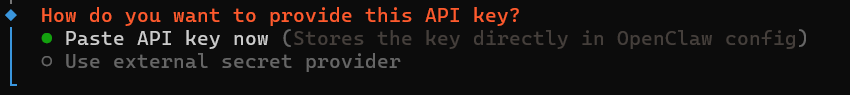 选择 Paste API key now